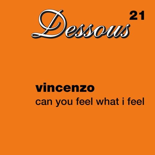 Portada de Can You Feel What I Feel