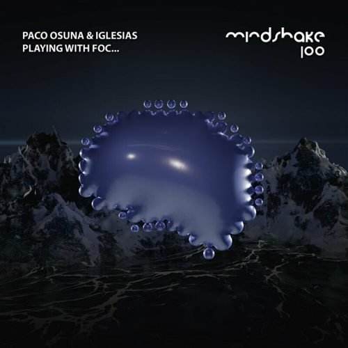 Portada de Playing With Foc...