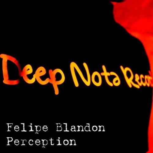 Portada de Perception