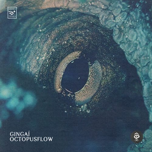 Portada de Octopus Flow