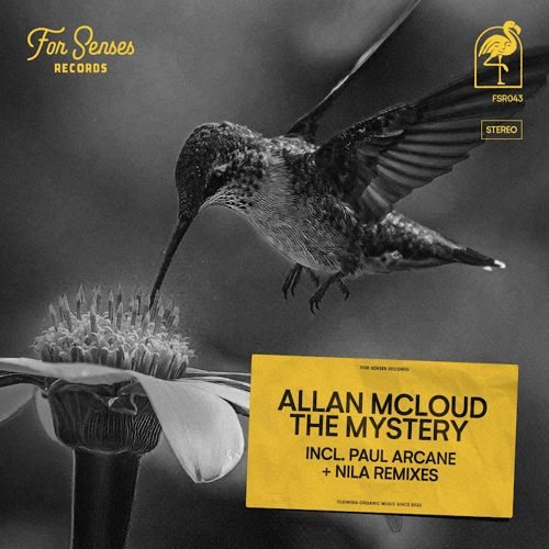 Portada de The Mystery