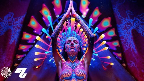 Portada de Ace Ventura & GMS - Mindshift