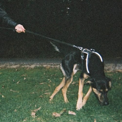 Portada de Feel