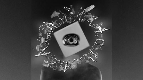 Portada de Rabbit Hole