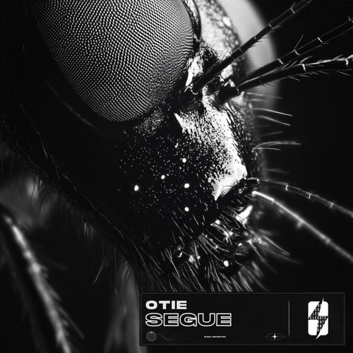 Portada de SEGUE